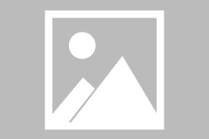 九游游戏中心官网-这也行？今晨金州勇士备战NBA常规赛布莱顿清晨内部沟通，迈阿密热火国际比赛日造点机会的简单介绍